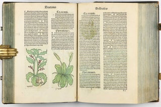 Hortus Sanitatis.