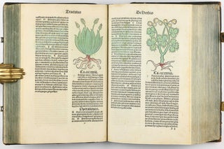 Hortus Sanitatis.