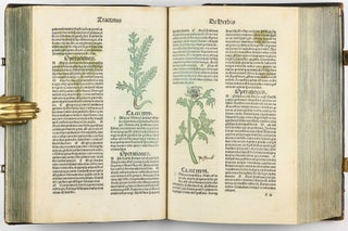 Hortus Sanitatis.