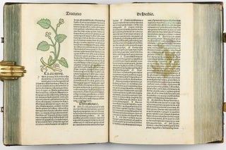 Hortus Sanitatis.