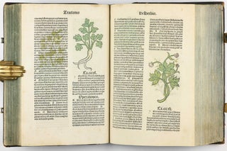 Hortus Sanitatis.