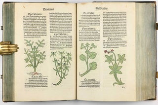 Hortus Sanitatis.