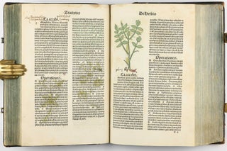 Hortus Sanitatis.