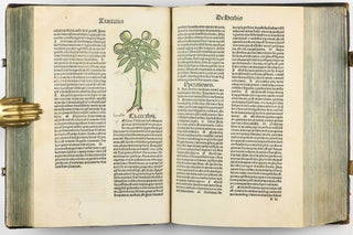 Hortus Sanitatis.