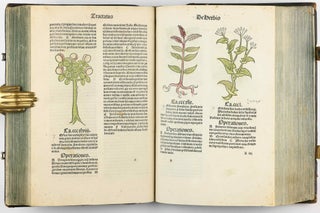 Hortus Sanitatis.