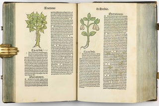 Hortus Sanitatis.
