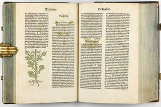 Hortus Sanitatis.