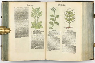 Hortus Sanitatis.