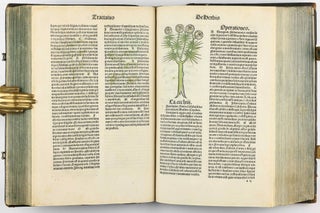 Hortus Sanitatis.