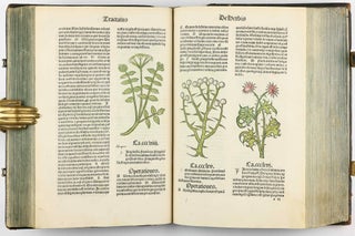 Hortus Sanitatis.