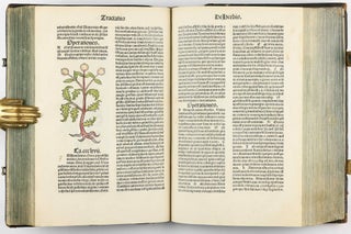 Hortus Sanitatis.