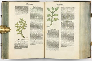Hortus Sanitatis.