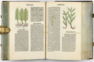 Hortus Sanitatis.
