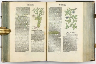 Hortus Sanitatis.
