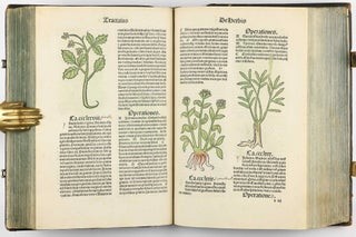 Hortus Sanitatis.