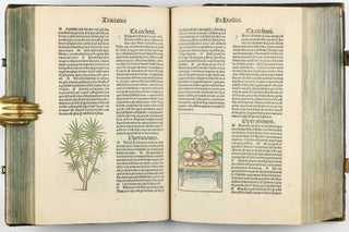 Hortus Sanitatis.