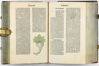 Hortus Sanitatis.