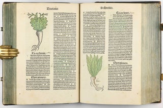 Hortus Sanitatis.