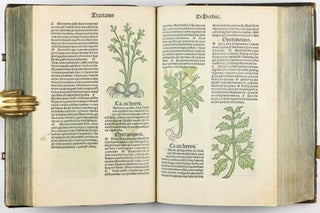 Hortus Sanitatis.