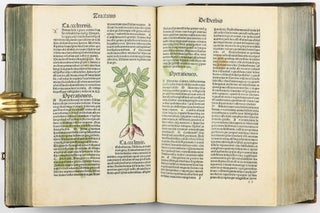 Hortus Sanitatis.