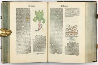 Hortus Sanitatis.
