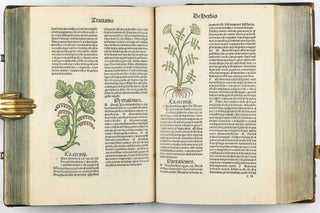Hortus Sanitatis.
