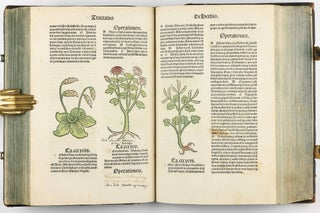 Hortus Sanitatis.