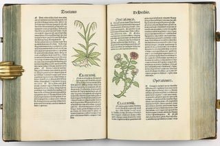Hortus Sanitatis.