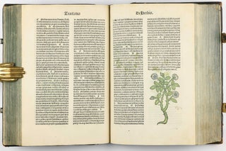 Hortus Sanitatis.