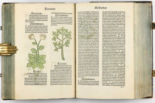 Hortus Sanitatis.