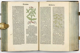 Hortus Sanitatis.