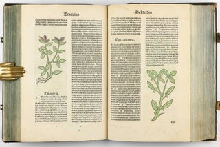 Hortus Sanitatis.