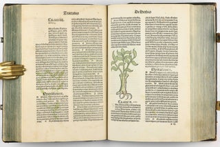 Hortus Sanitatis.