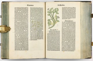Hortus Sanitatis.