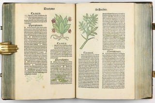 Hortus Sanitatis.