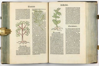 Hortus Sanitatis.