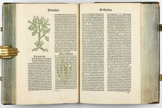 Hortus Sanitatis.