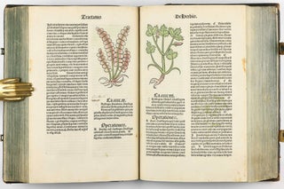 Hortus Sanitatis.