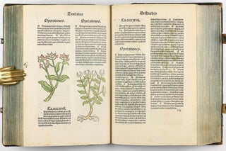 Hortus Sanitatis.