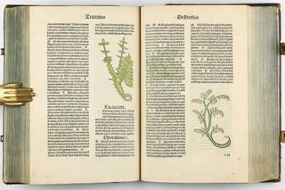 Hortus Sanitatis.