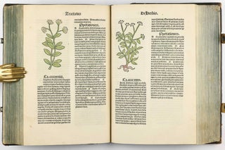 Hortus Sanitatis.