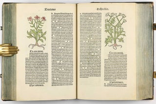 Hortus Sanitatis.
