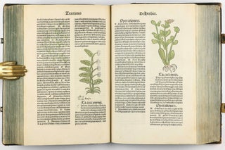 Hortus Sanitatis.