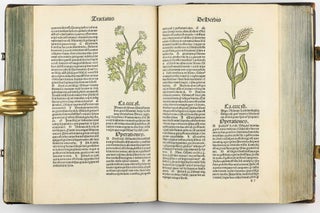 Hortus Sanitatis.