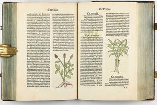 Hortus Sanitatis.