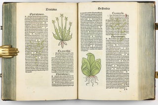 Hortus Sanitatis.