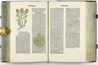 Hortus Sanitatis.