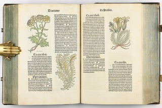 Hortus Sanitatis.