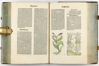Hortus Sanitatis.