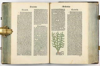 Hortus Sanitatis.